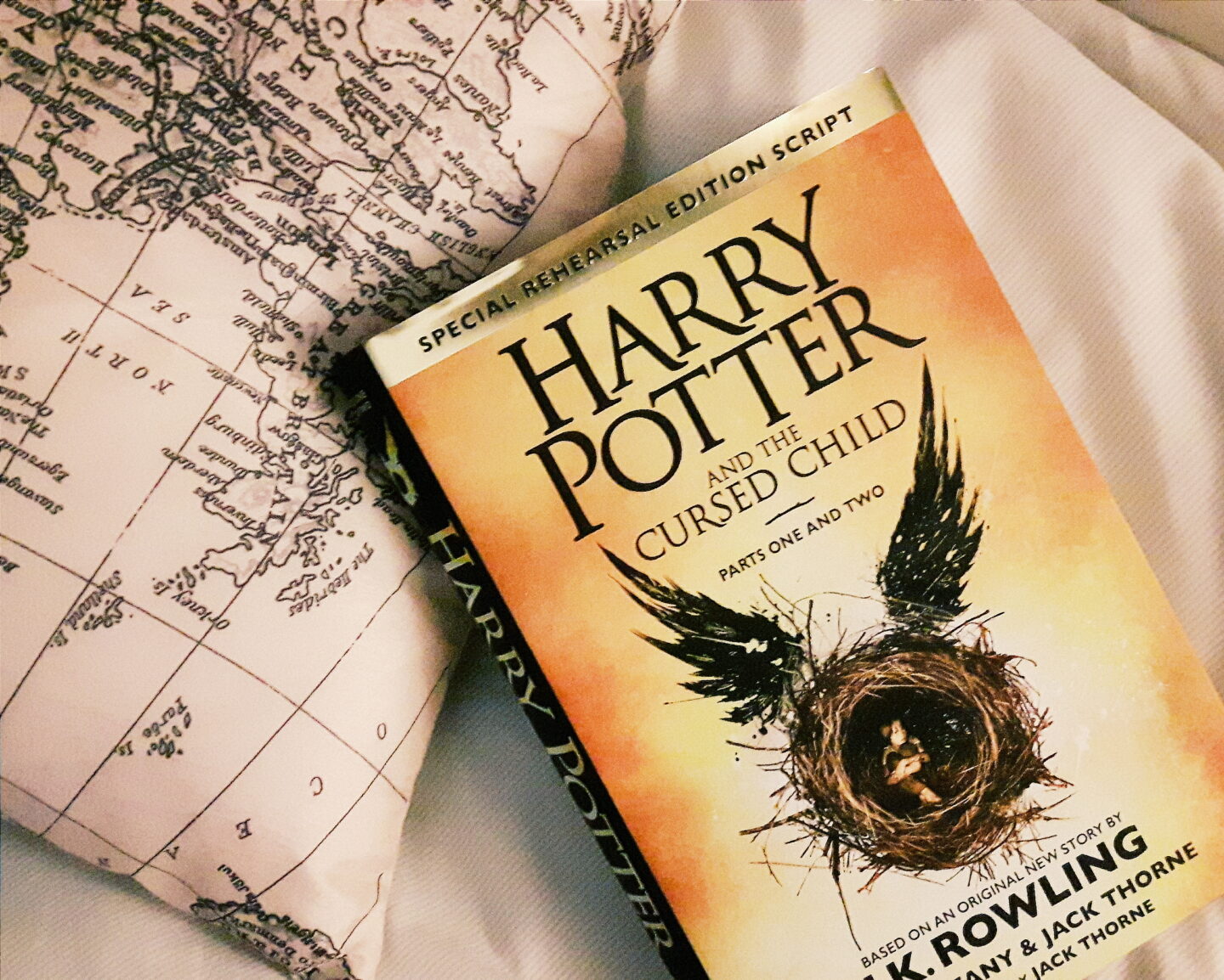 Books What Harry Potter Means To Me